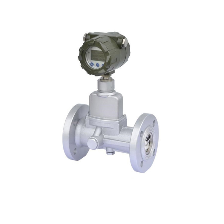 旋進(jìn)旋渦流量計(jì)